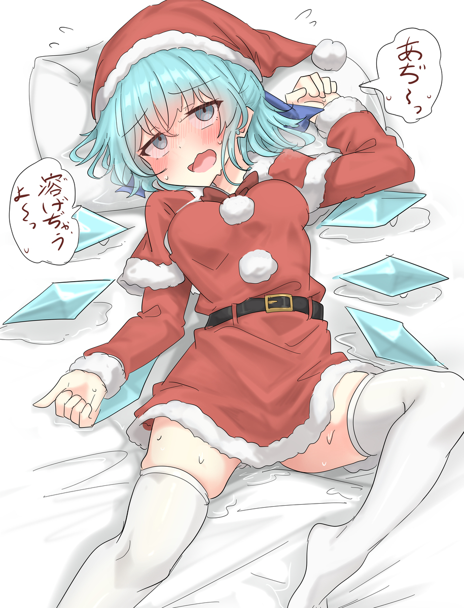 暑過ぎて溶けちゃいそうなサンタチルノちゃん