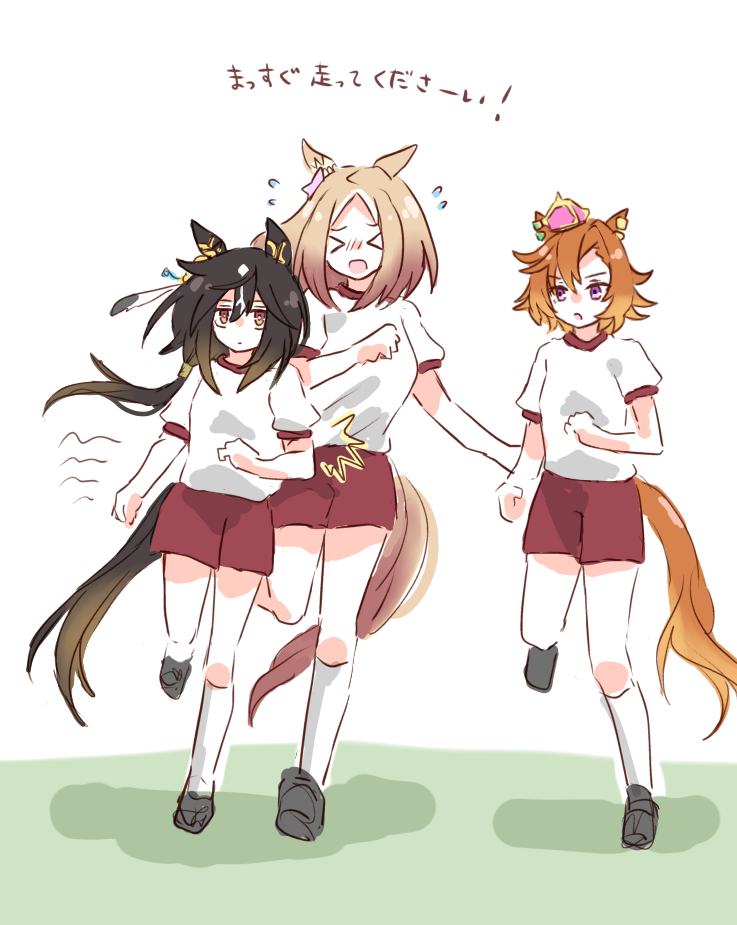 ステゴ