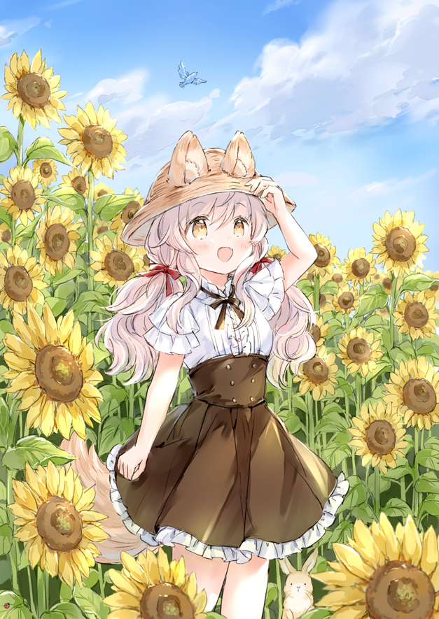ひまわり
