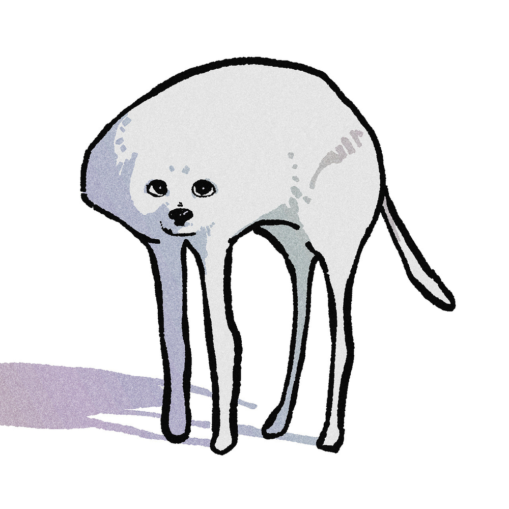 動物