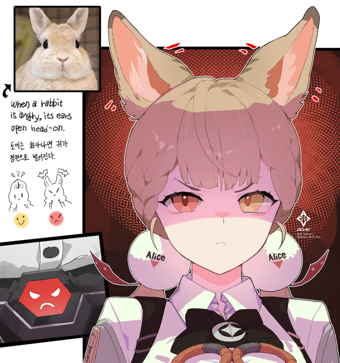 When a rabbit is angry