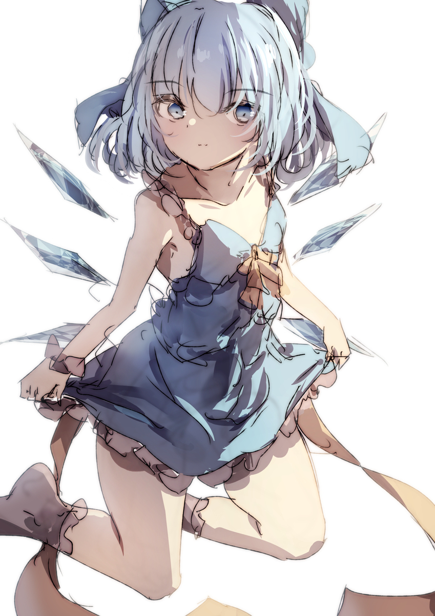 チルノの日
