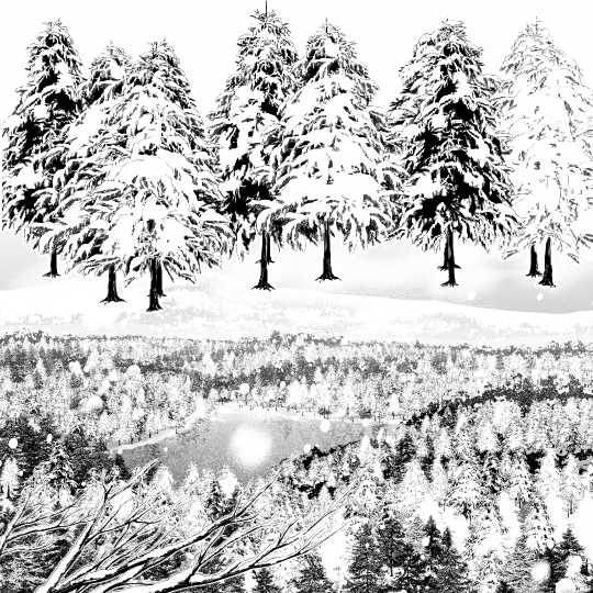 雪杉(森兼用)ブラシ