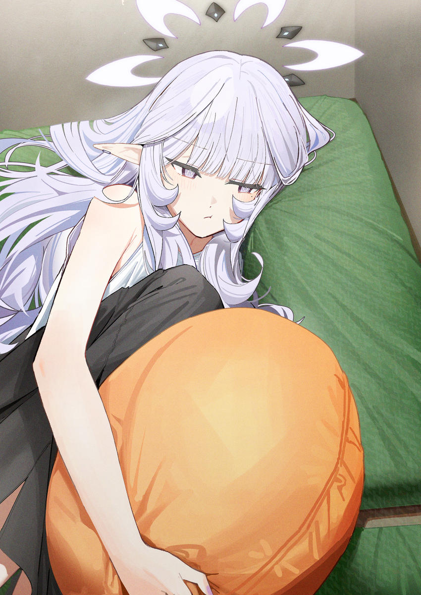 24日目