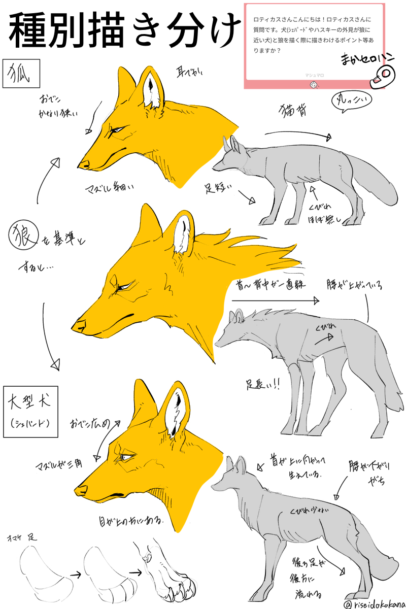 わい的ケモノの描き方講座