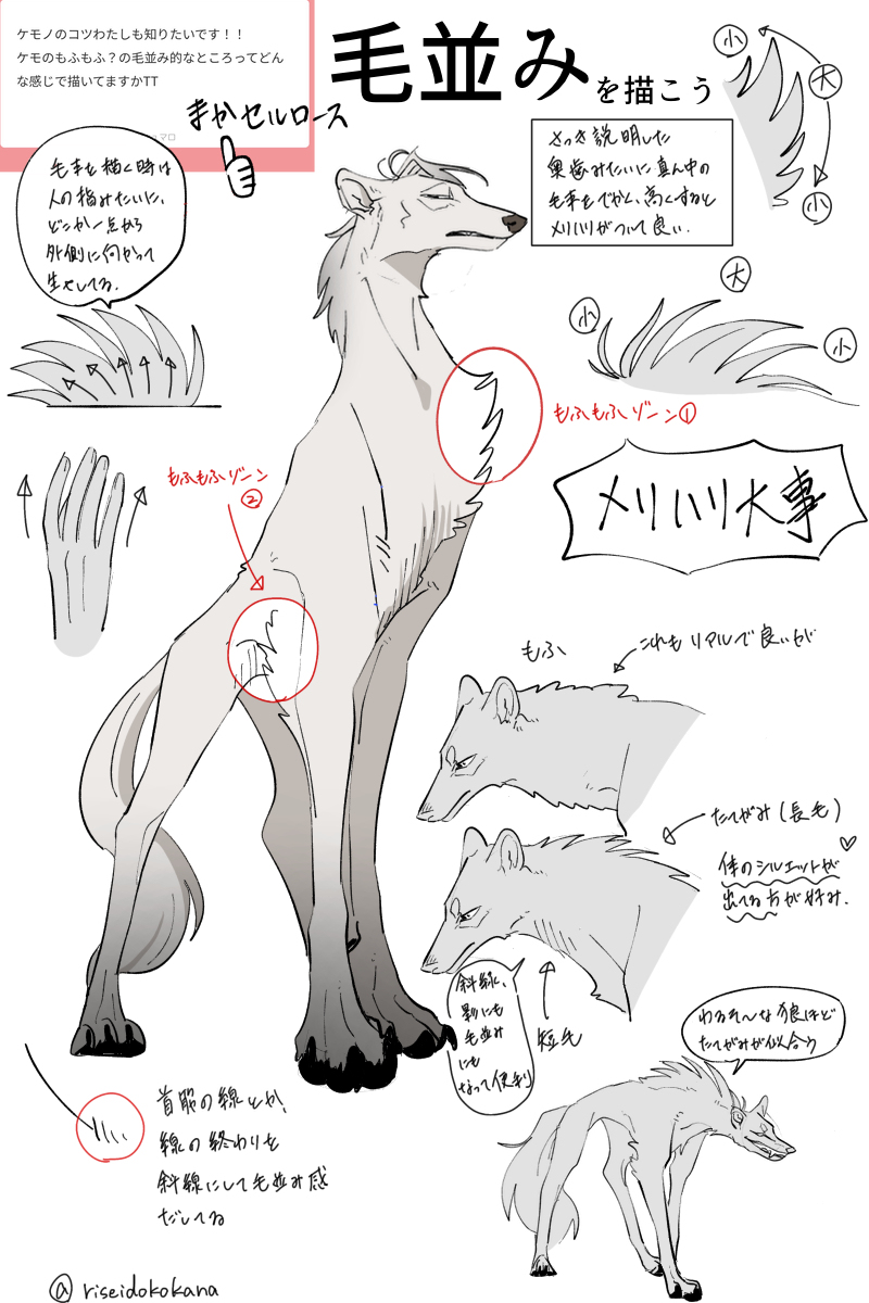 わい的ケモノの描き方講座