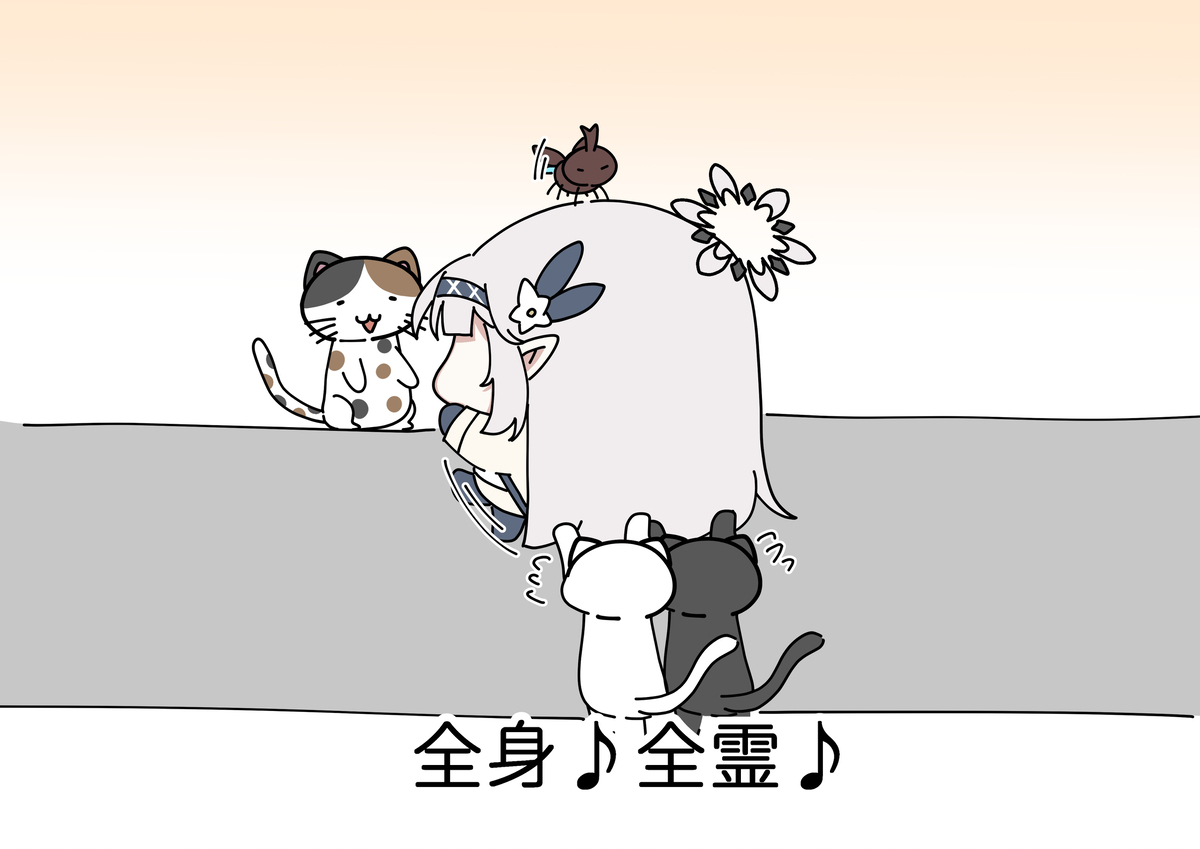ﾄﾞﾔﾋﾏ ザ　もちもち　ぼでー