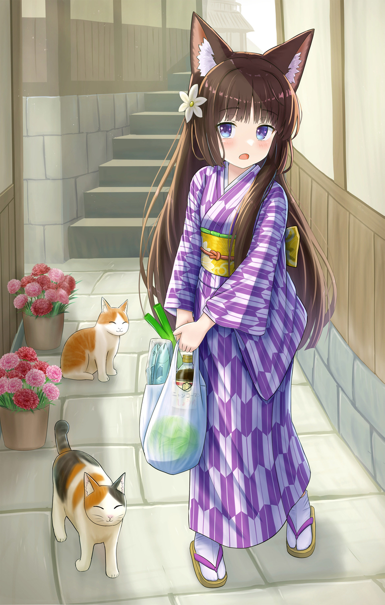 お買い物帰りの猫さん