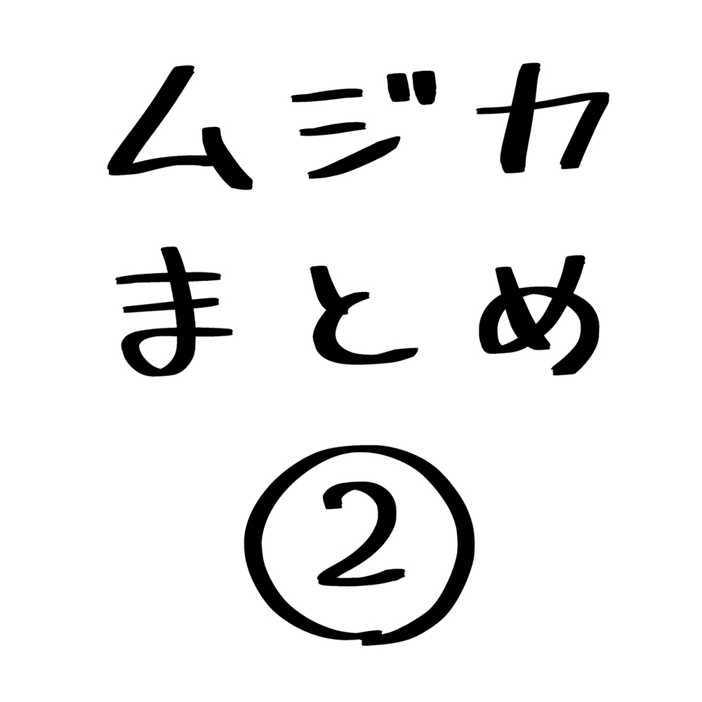 ムジカまとめ②