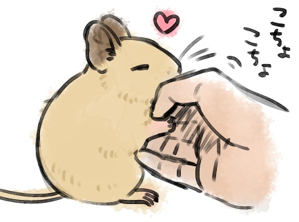 デグーさん