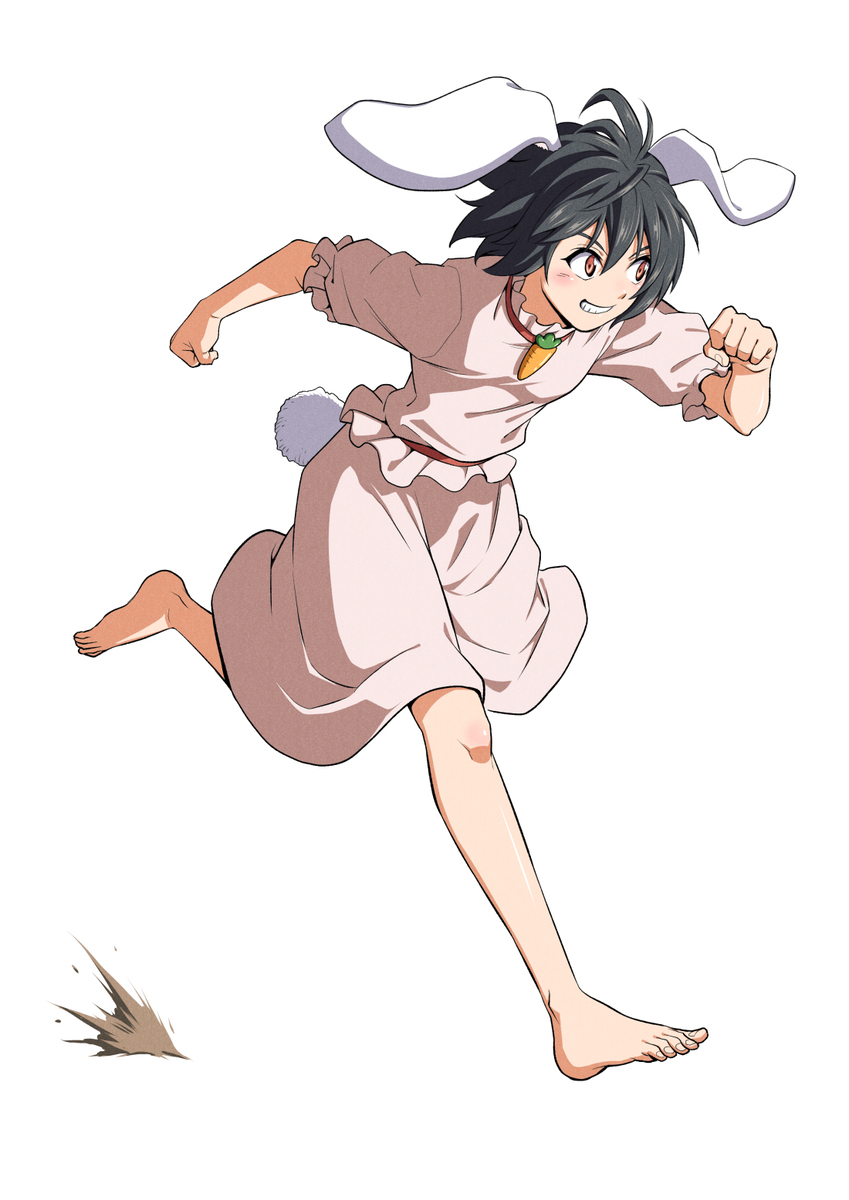 地上の兎