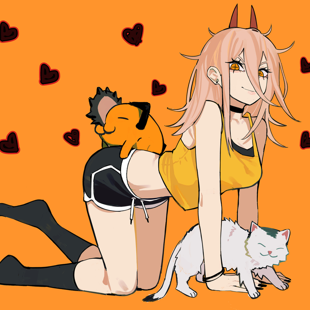 Cat crawl