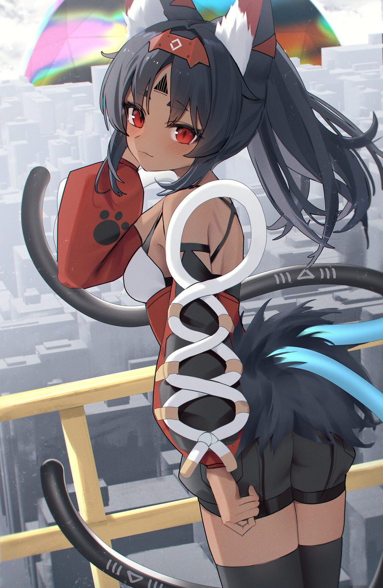 縄張り