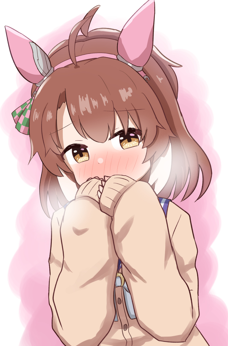ダンツちゃん