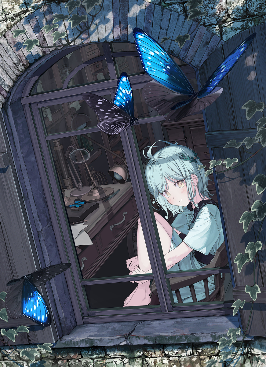 星空みたいな蝶がいた