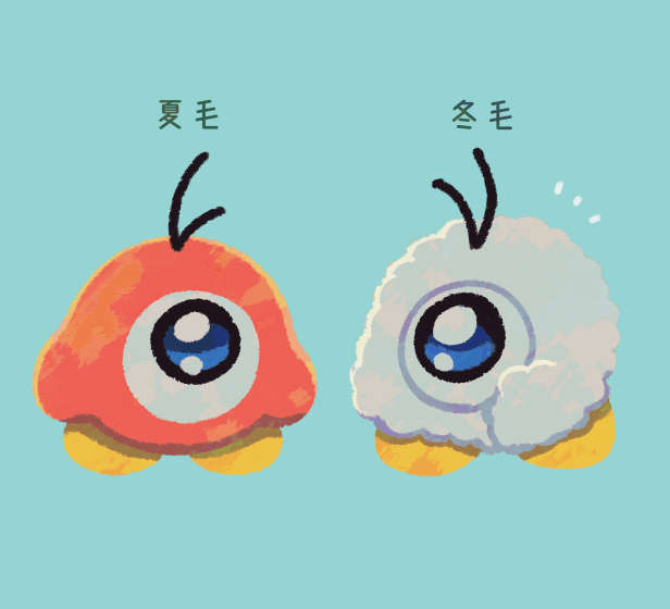 星カビ絵まとめ４６
