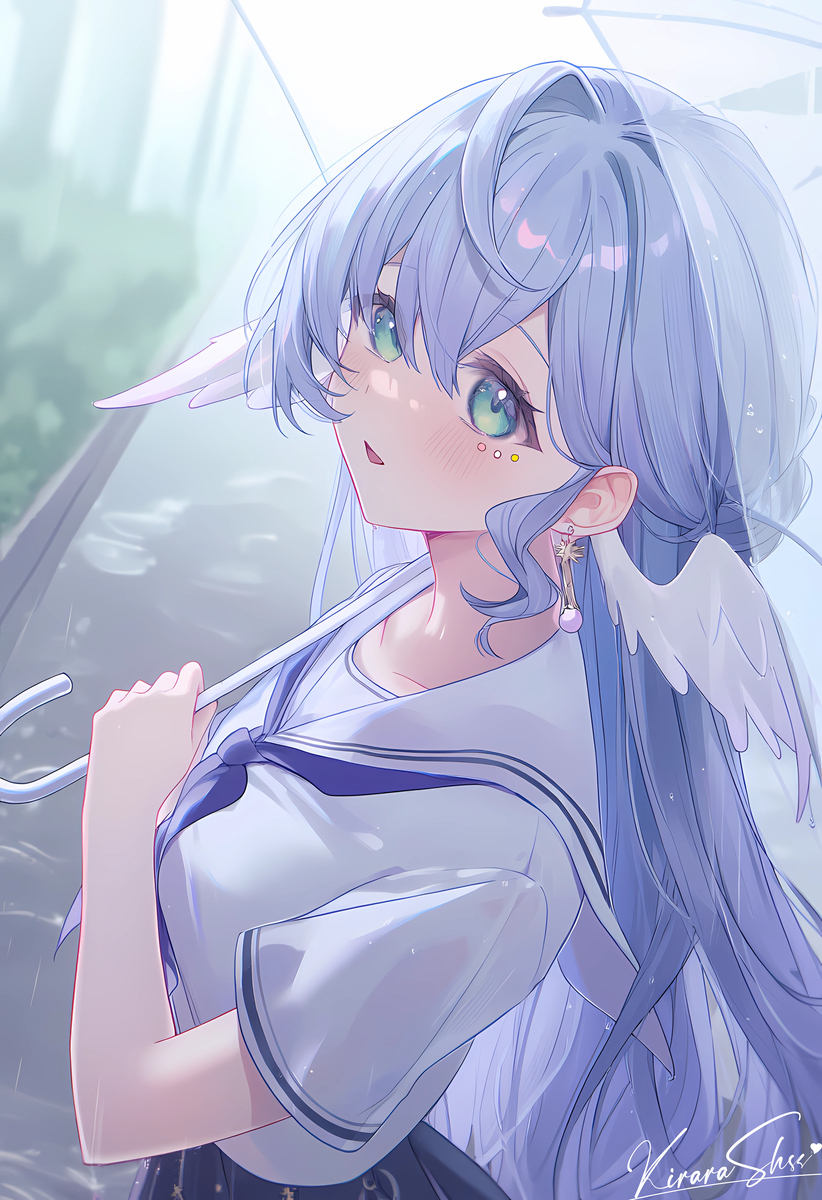 知更鸟