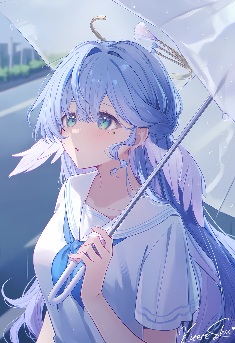 知更鸟