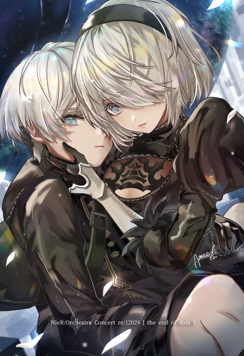 9S2B。Nierオケコン最高でした