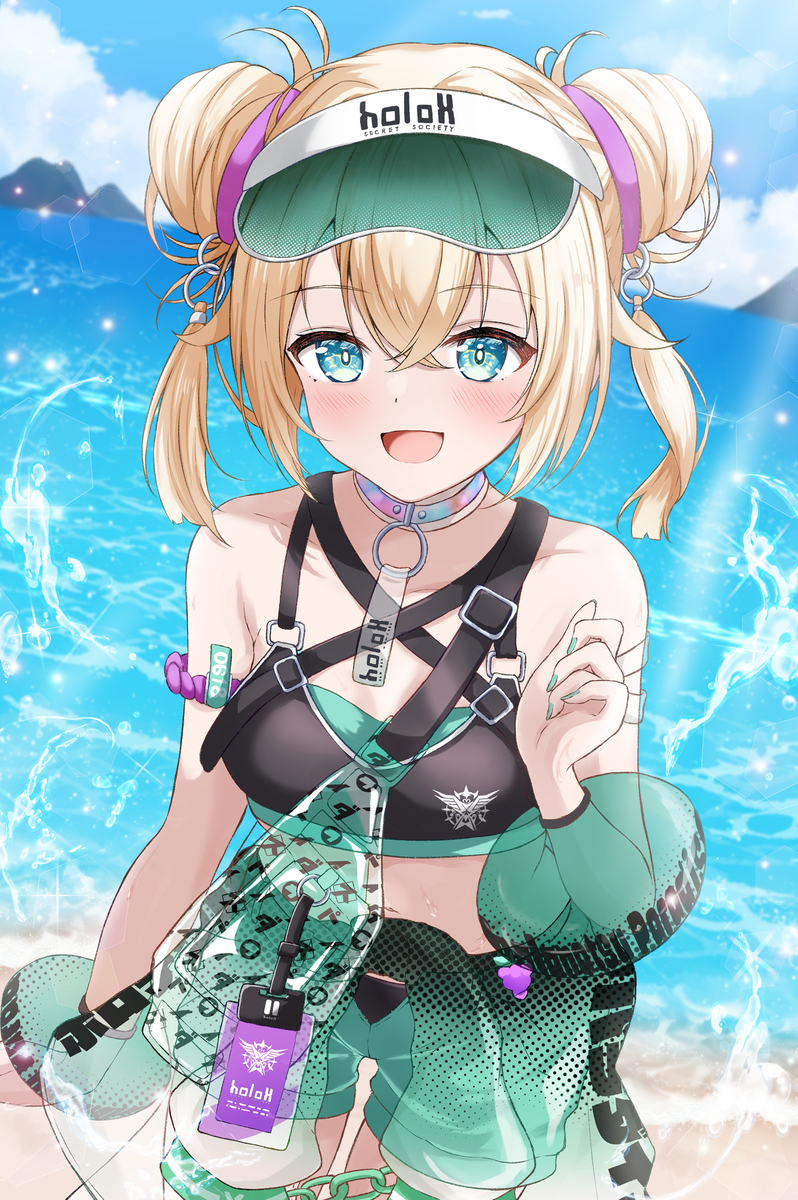 ホロナツかざま