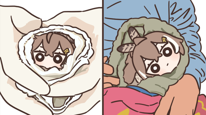 Owls in Towels 2