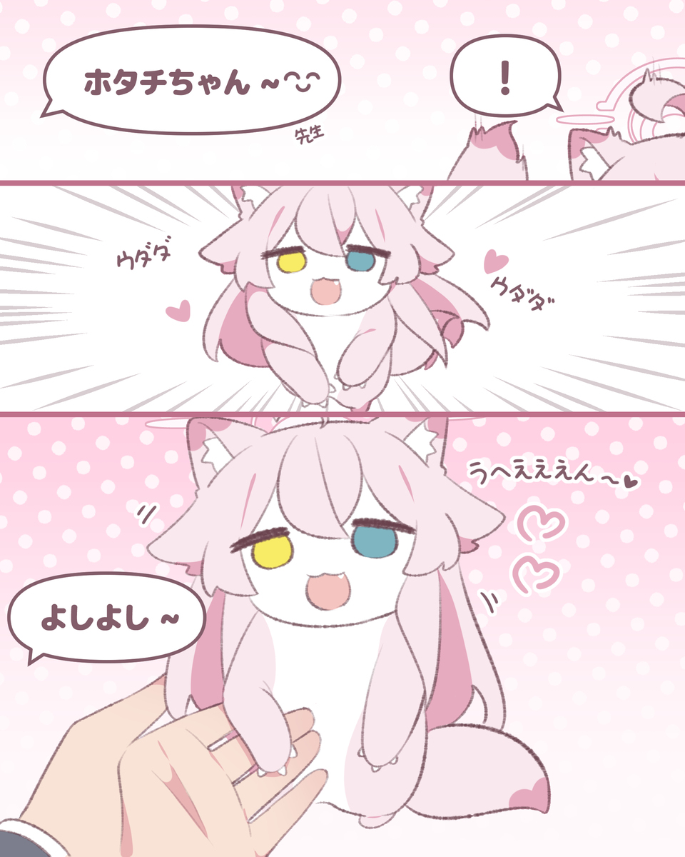 いつも素直なホタチちゃんです~🩷🫴