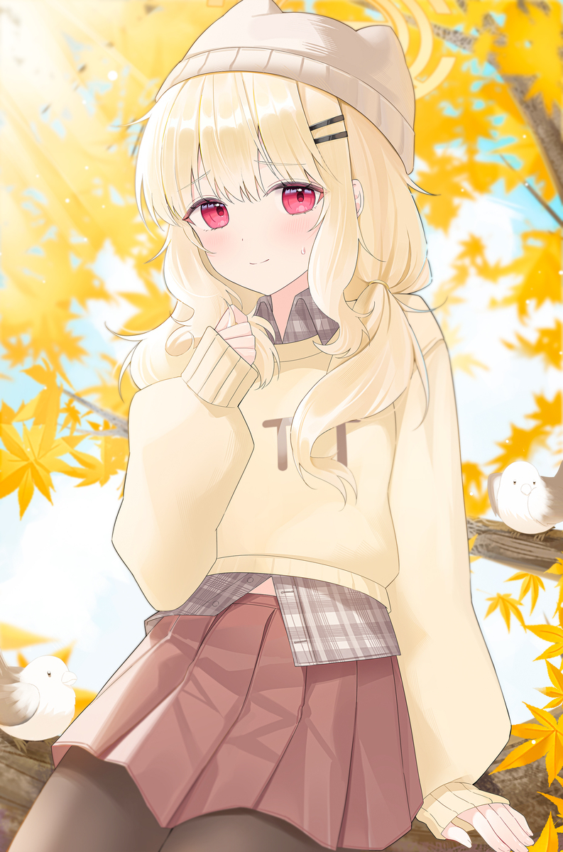 🍁💛