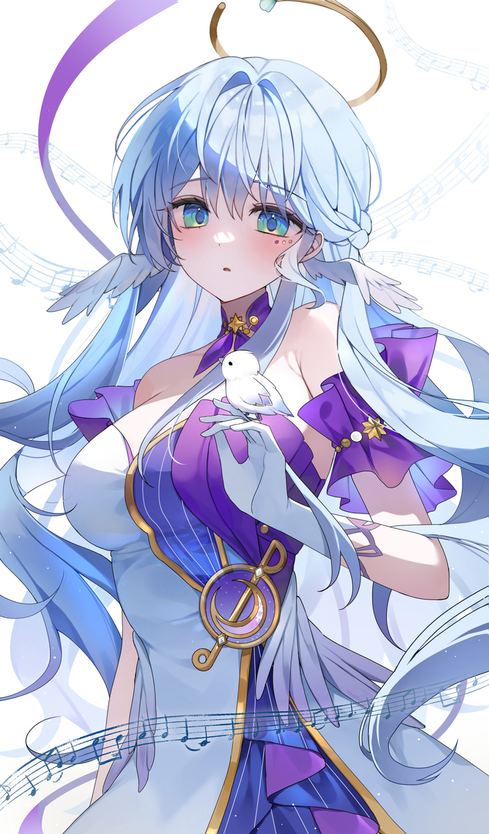 Robin🌟