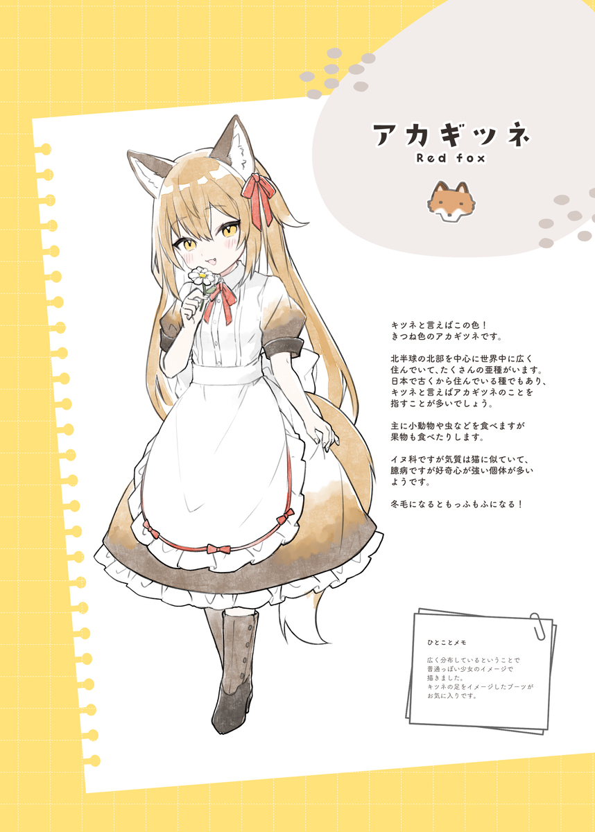 きつねの楽園　アカギツネ編