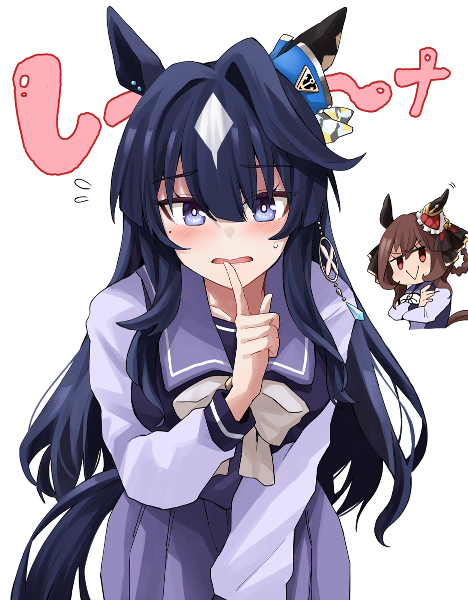 ヴィルし～ナ