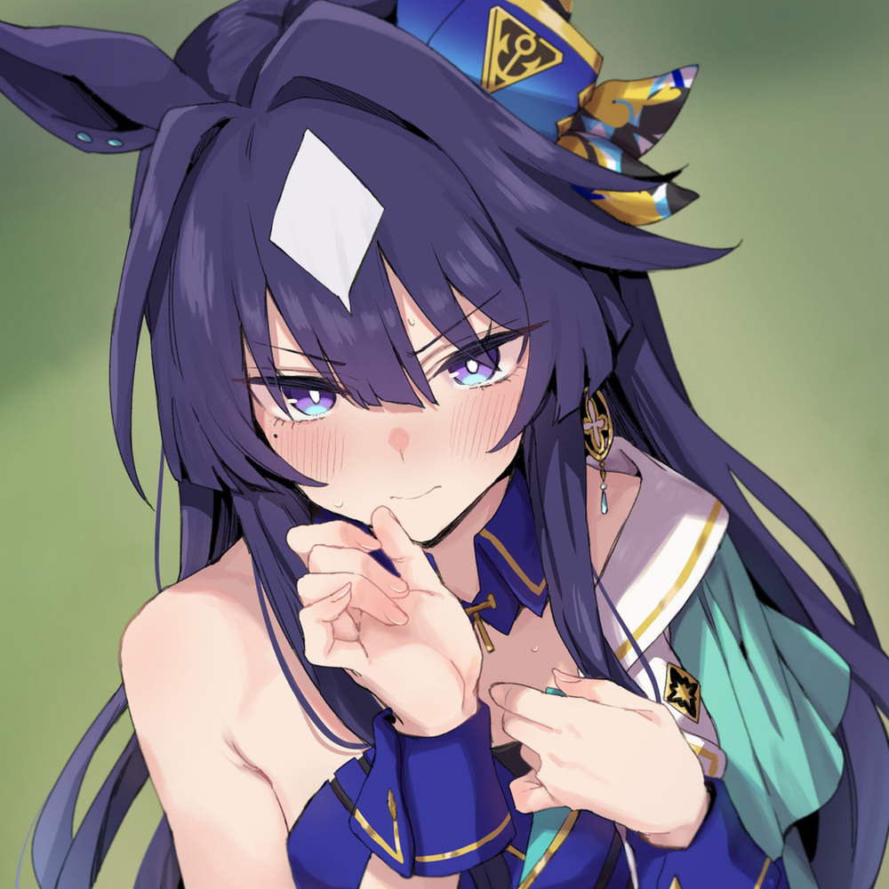 祝・ヴィルシーナ実装