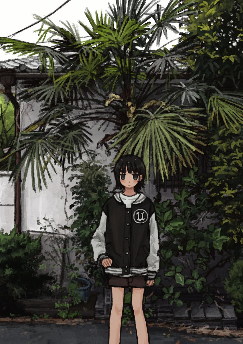 曇りの日の棕櫚