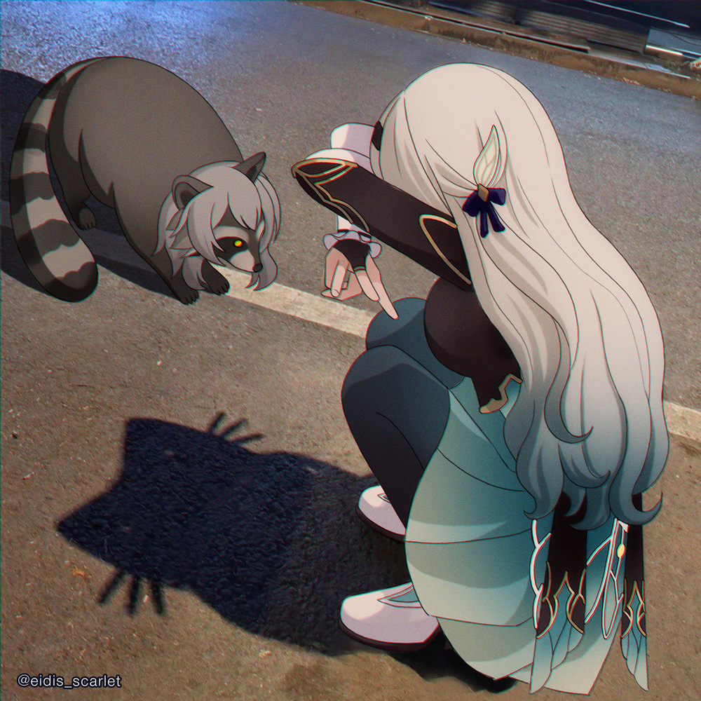 Cat shadow