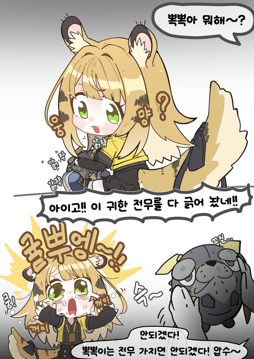 뽁뽁이는 전무 가지면 안되겠다!