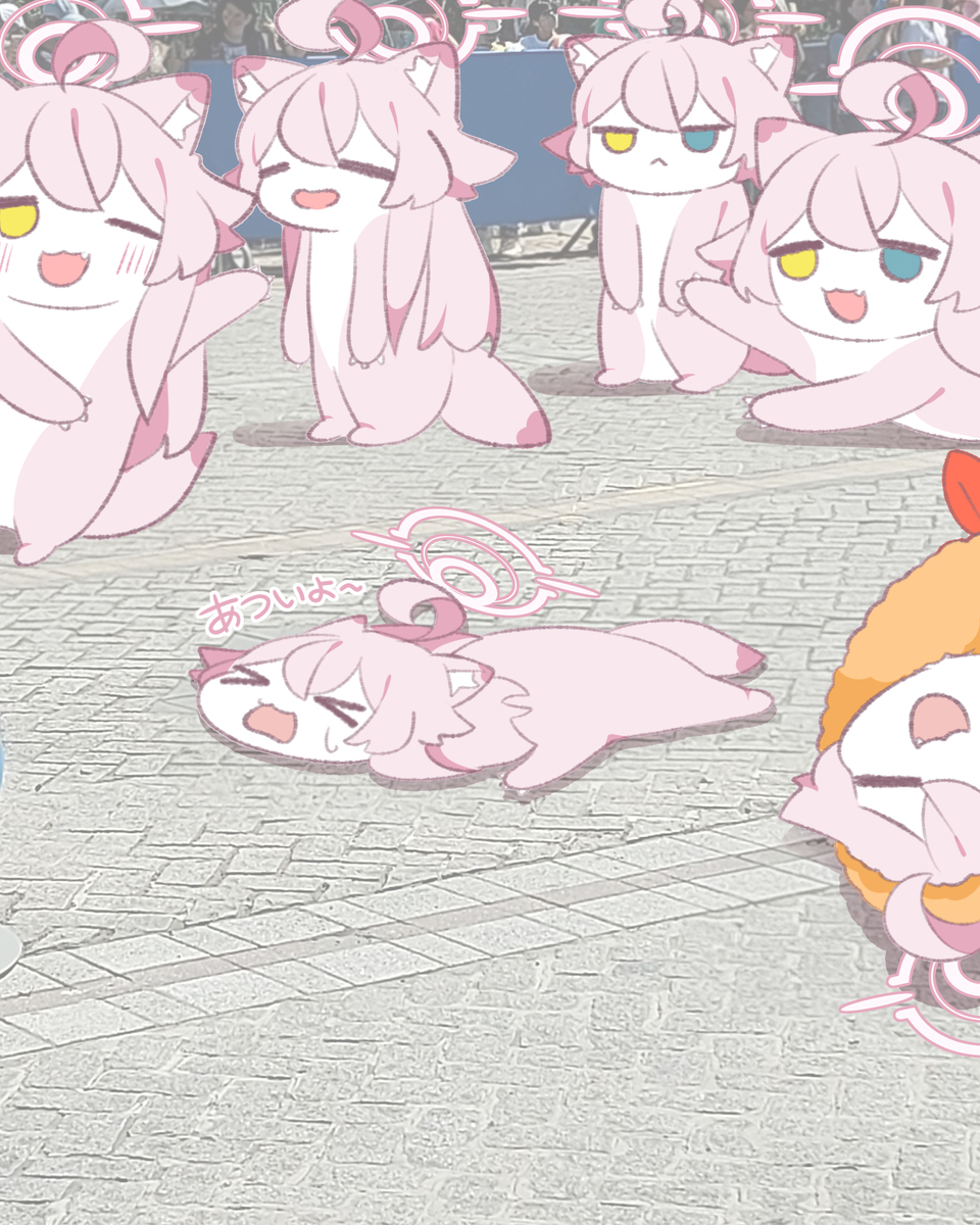 あついよ~💦 夏35℃🩷ホシノイタチ!!