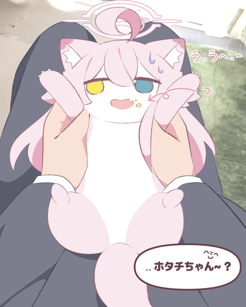 先生のおやつをこっそり~🍦?.. 🩷ホシノイタチ!!