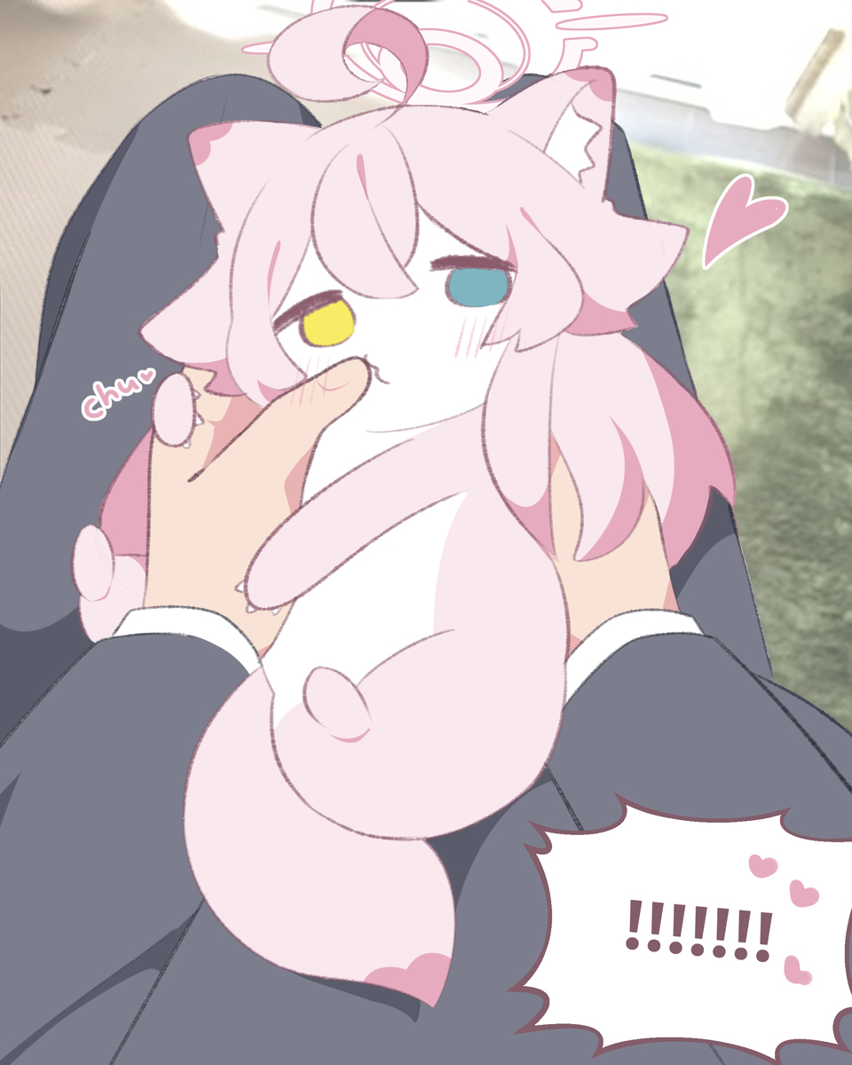 先生のおやつをこっそり~🍦?.. 🩷ホシノイタチ!!