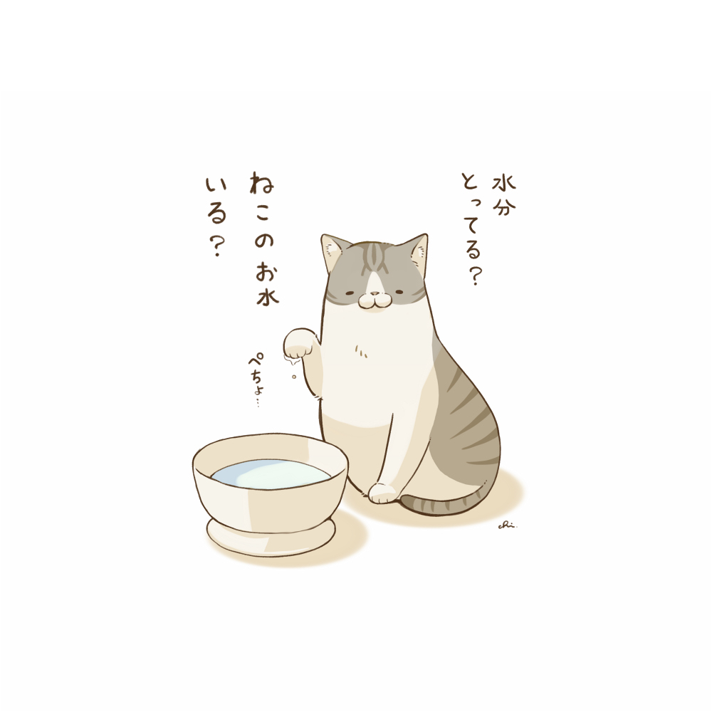 水分補給