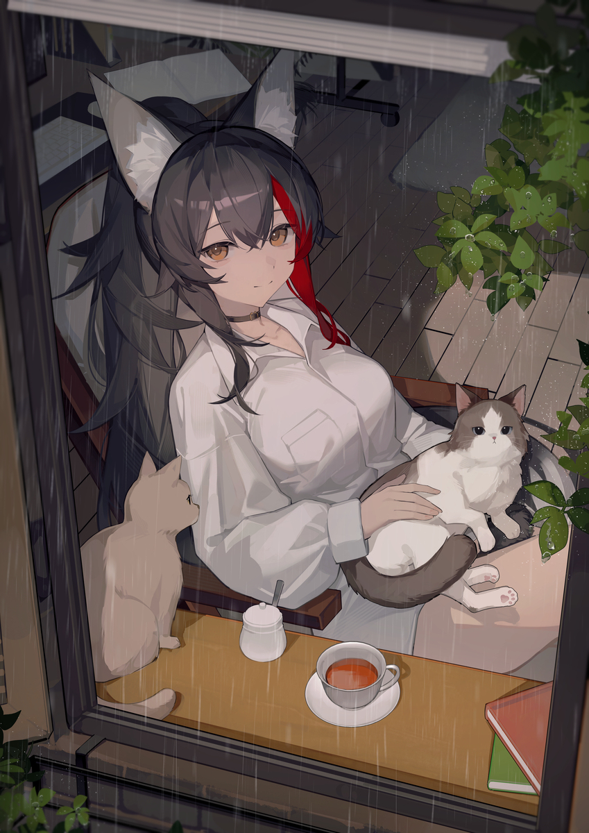 梅雨