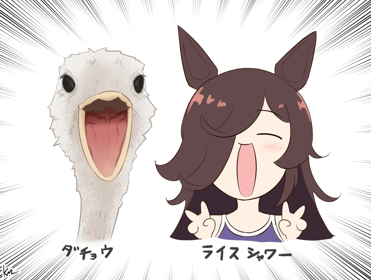 ライスと無人島シナリオ