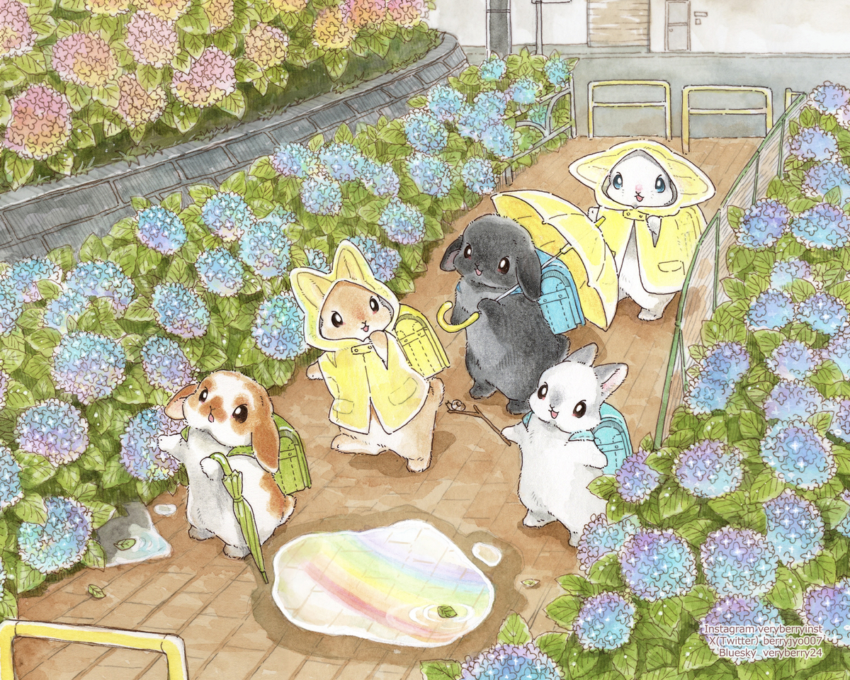 あ！  雨やんだよ！