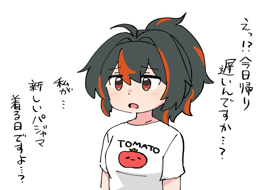 ゼンゼロ詰め12