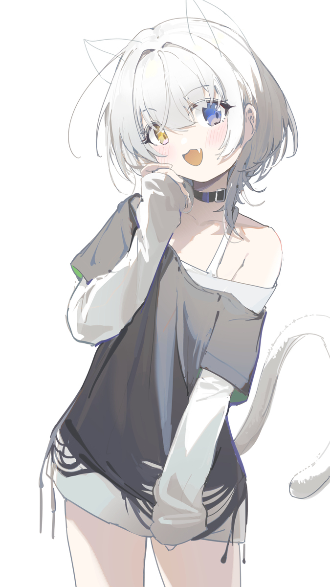 🐏🐏