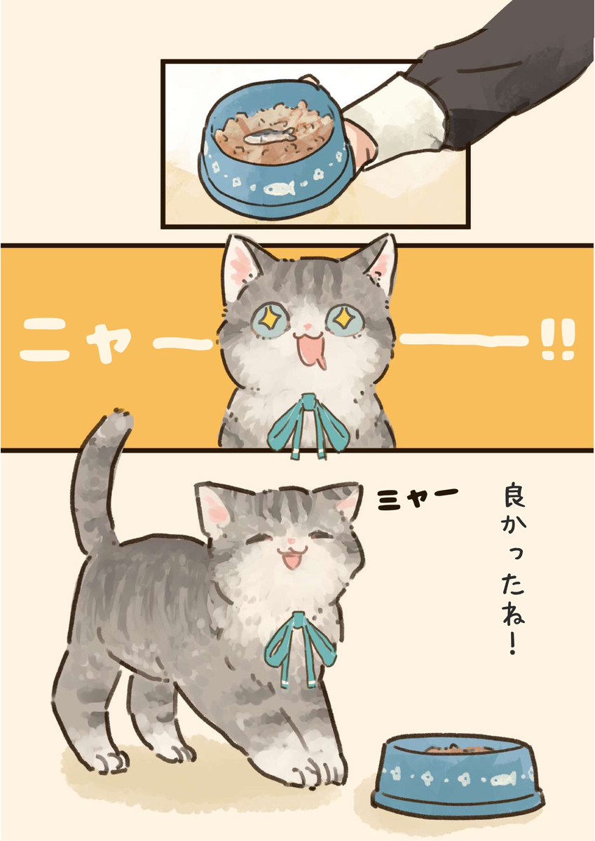 君にはこれ！🐈🐟