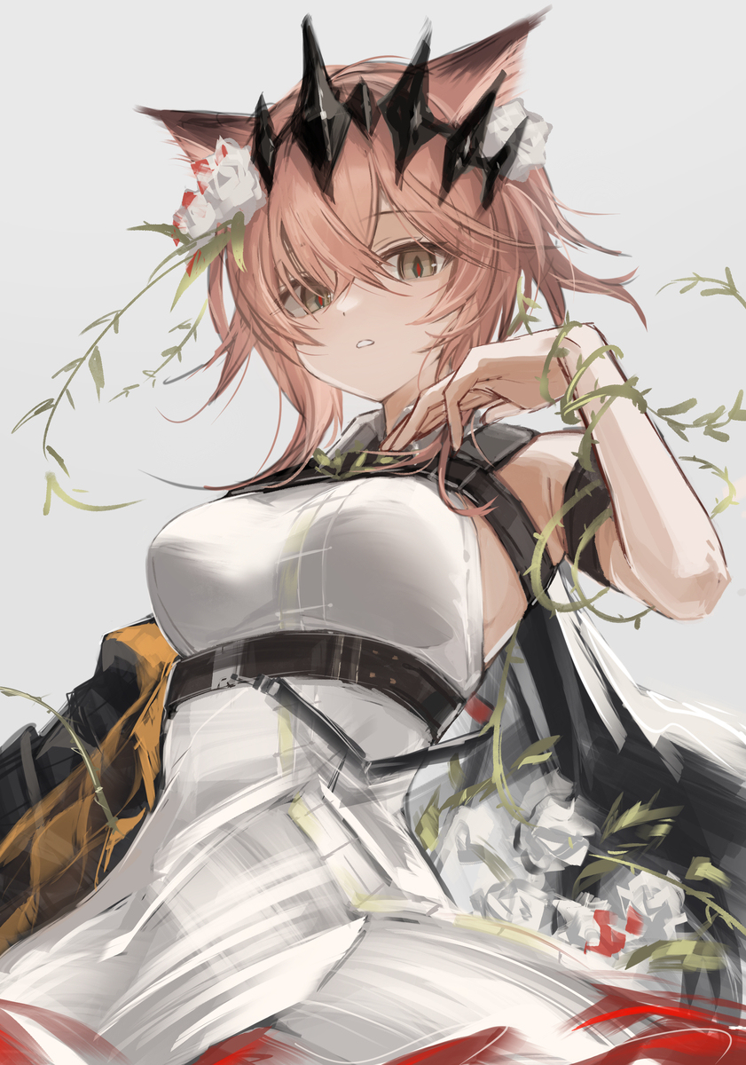 ヴァンデラ