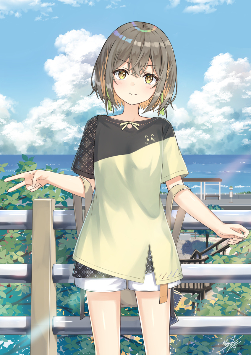 海