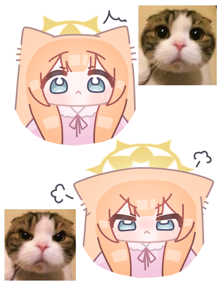 catcat