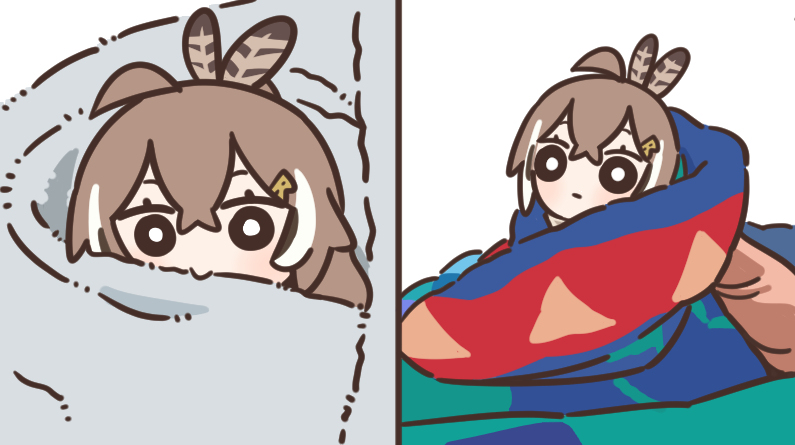 Owls in Towels 1