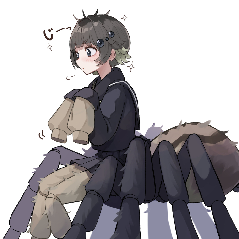 ハエトリグモちゃん