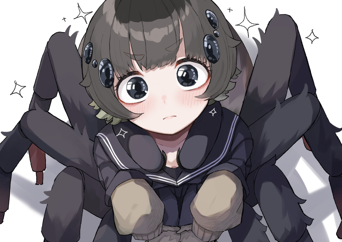 ハエトリグモちゃん